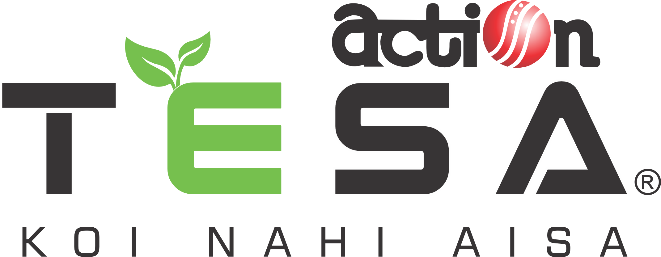 Action Tesa HDHMR Dealer Delhi - Premium HDHMR Boards for Kitchen Cabinets Delhi NCR